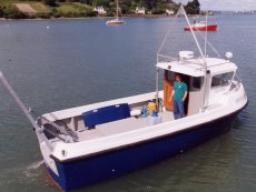  FM Deltastar 28 Work Boat